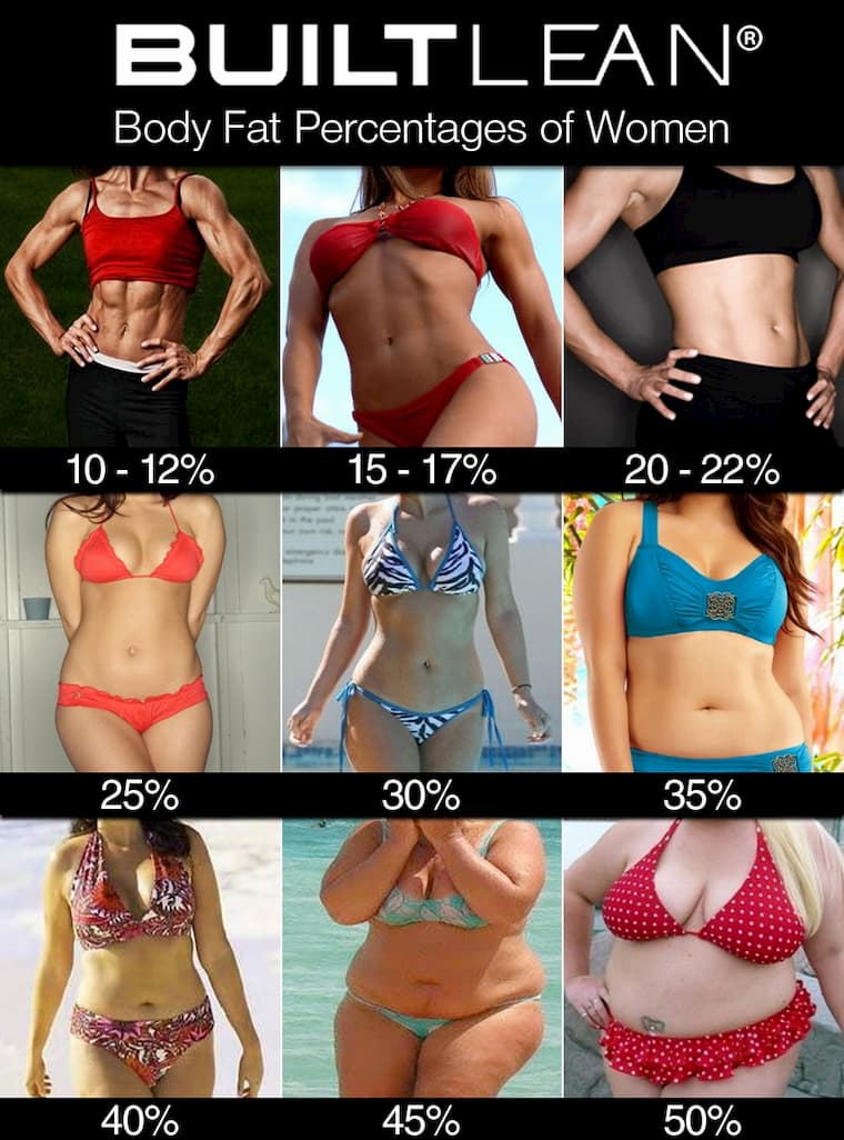 女の体脂肪率